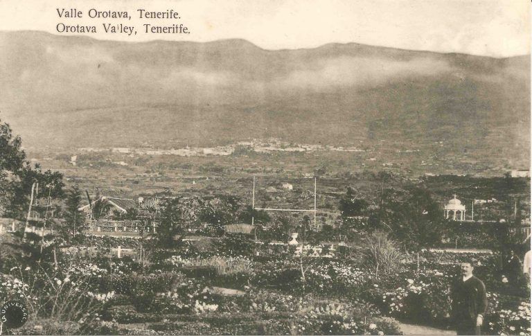 Vista-parcial-Valle-de-la-Orotava
