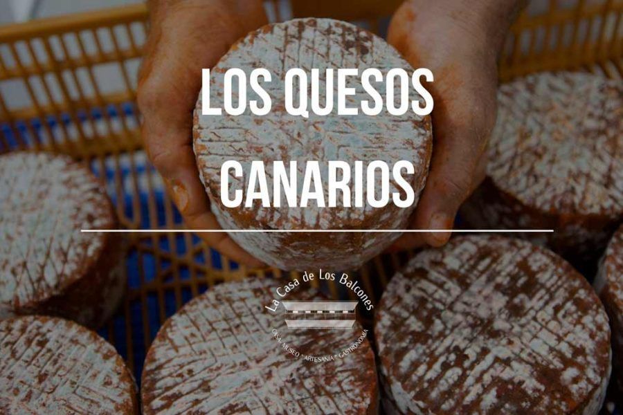 Los quesos y queserías canarias